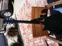 Rickenbacker 620/12 , Jetglo: Full Instrument - Rear
