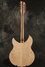 Rickenbacker 360/12 V64, Mapleglo: Full Instrument - Rear