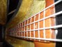 Rickenbacker 3001/4 , Walnut: Neck - Front
