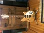 Rickenbacker 370/12 RM, Mapleglo: Free image2