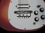 Rickenbacker 450/12 , Fireglo: Close up - Free