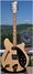 Rickenbacker 360/6 BH BT, Mapleglo: Full Instrument - Front