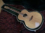 Rickenbacker 700/6 Comstock, Natural: Neck - Front