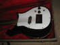 Rickenbacker 425/6 Combo, Black: Body - Front