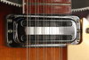 Rickenbacker 660/12 , MonteBrown: Close up - Free2