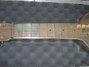 Rickenbacker NS 100/6 LapSteel, Silver: Neck - Front