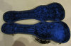 Rickenbacker B/6 LapSteel, Black: Free image2