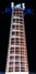 Rickenbacker 4003/4 , Midnightblue: Neck - Front