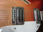 Rickenbacker 360/12 VP, Fireglo: Free image