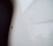 Jan 1981 Rickenbacker 4003/4 BT, White: Body - Rear