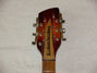 Rickenbacker 660/12 TP, Fireglo: Headstock