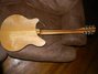 Rickenbacker 370/12 VP, Mapleglo: Full Instrument - Rear