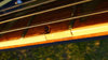 Rickenbacker 4001/4 , Azureglo: Close up - Free