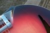 Rickenbacker 360/6 Mod, Custom: Free image2