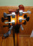 Rickenbacker 4001/4 , Autumnglo: Headstock - Rear