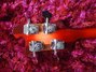 Rickenbacker 4003/4 , Fireglo: Headstock - Rear