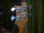 Rickenbacker 4003/4 , Mapleglo: Headstock - Rear