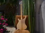 Rickenbacker 4003/4 , Mapleglo: Full Instrument - Rear