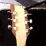 Rickenbacker 650/6 Dakota, Natural: Headstock - Rear