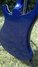 Jun 2010 Rickenbacker 4003/4 , Midnightblue: Body - Rear
