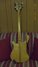 Rickenbacker 4001/4 , Mapleglo: Full Instrument - Rear