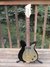 Rickenbacker 400/6 Combo, Black: Free image