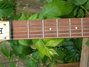 Rickenbacker 400/6 Combo, Black: Neck - Front