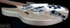 Rickenbacker 330/6 VP, Desert Gold: Close up - Free
