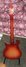 Rickenbacker 620/12 , Fireglo: Full Instrument - Rear
