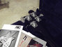 Rickenbacker 4003/4 , Jetglo: Headstock - Rear
