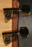 Rickenbacker 380/6 Laguna, Walnut: Close up - Free2