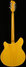 Rickenbacker 360/12 , Mapleglo: Full Instrument - Rear