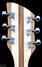 Rickenbacker 360/6 , Mapleglo: Headstock - Rear