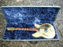 Rickenbacker 360/6 Refin, Mapleglo: Free image2