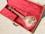 Rickenbacker 660/12 TP, Fireglo: Full Instrument - Front