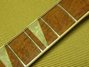 Rickenbacker 660/12 TP, Fireglo: Neck - Front
