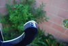 Rickenbacker 4003/4 , Midnightblue: Close up - Free