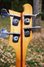 Rickenbacker 4001/4 , Mapleglo: Headstock - Rear