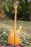 Rickenbacker 4001/4 , Mapleglo: Full Instrument - Rear