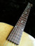 Rickenbacker S59/6 Electro, Natural: Neck - Front