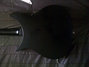 Jun 2001 Rickenbacker 325/6 V63, Jetglo: Body - Rear