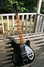 Rickenbacker 360/6 , Black: Full Instrument - Front