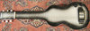 Rickenbacker 59/6 LapSteel, Gray Sunburst: Full Instrument - Front