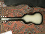 Rickenbacker 59/6 LapSteel, Gray Sunburst: Full Instrument - Rear