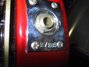 Rickenbacker 315/6 Capri, Fireglo: Free image