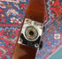 Rickenbacker 480/6 , Autumnglo: Close up - Free