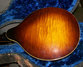 Rickenbacker Mandolin (hollow body)/8 VB, Two tone brown: Body - Rear