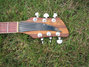Rickenbacker 360/6 Capri, Natural: Headstock