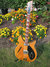 Rickenbacker 360/6 Capri, Natural: Full Instrument - Front