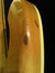 Rickenbacker 4001/4 , Mapleglo: Full Instrument - Rear